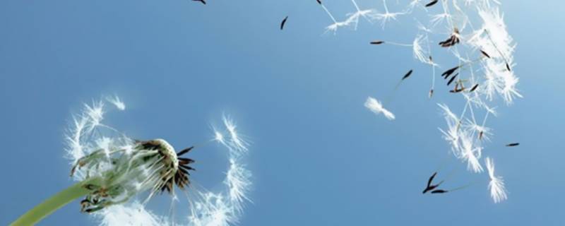 12米每秒的风是几级风（11米每秒的风是几级风）