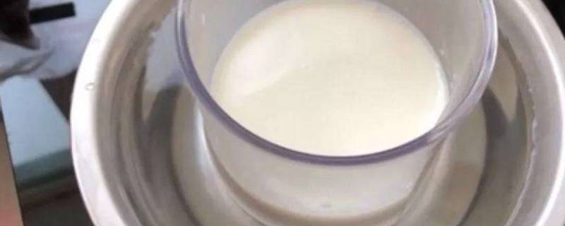 鲜牛奶太冷了要怎么喝（纯牛奶天冷了怎么吃）