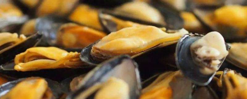 海虹冷水下锅煮几分钟（海虹冷水下锅煮多久）