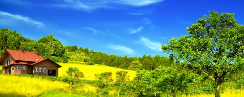 夏季是几月（夏季是几月几日）