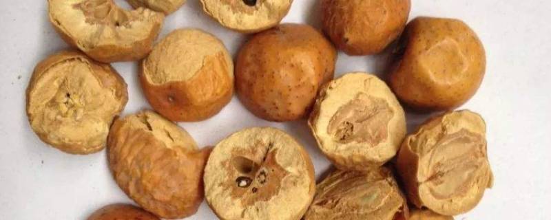 金铃子是川楝子吗（川楝子和金铃子有何区别）