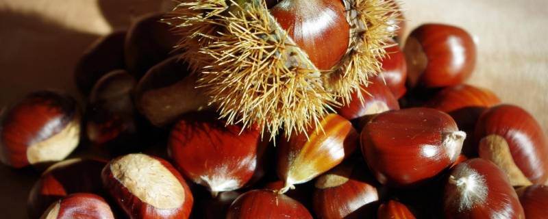 板栗多久可以煮熟 板栗多久能煮熟