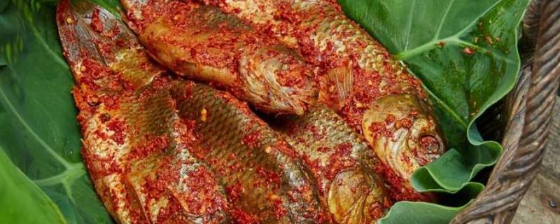 怎样腌鱼没有腥味（怎么腌制鱼没有腥味）