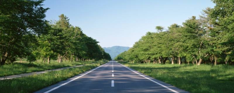 记忆道路诀窍（记忆道路诀窍郑州的道路怎么记）