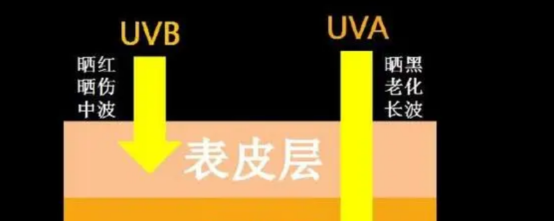 uva指的是什么（uVA是什么意思）