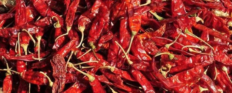 特别香的辣椒是哪种（辣椒哪一种最香）