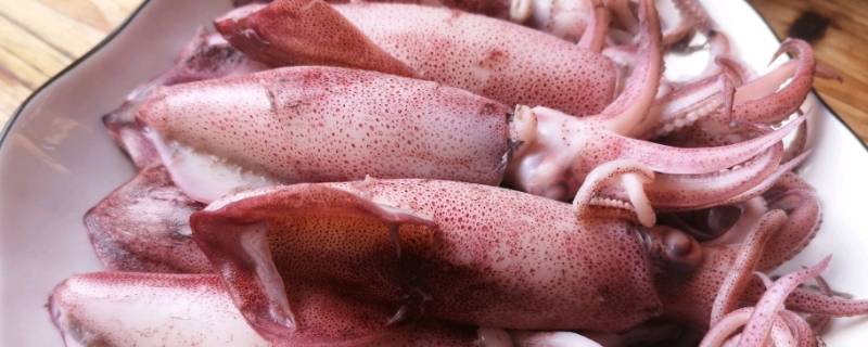 鱿鱼嘴是什么位置 鱿鱼嘴和鱿鱼脖是一个位置吗