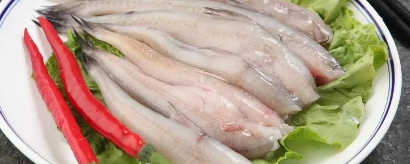 龙头鱼为什么那么便宜（龙头鱼难吃）
