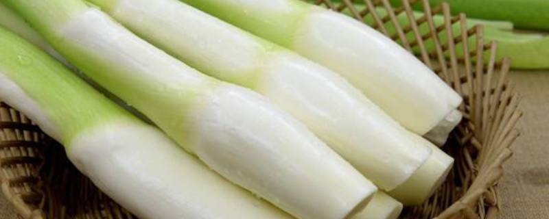 茭白里面的黑点是什么 茭白里面的黑点是什么原因