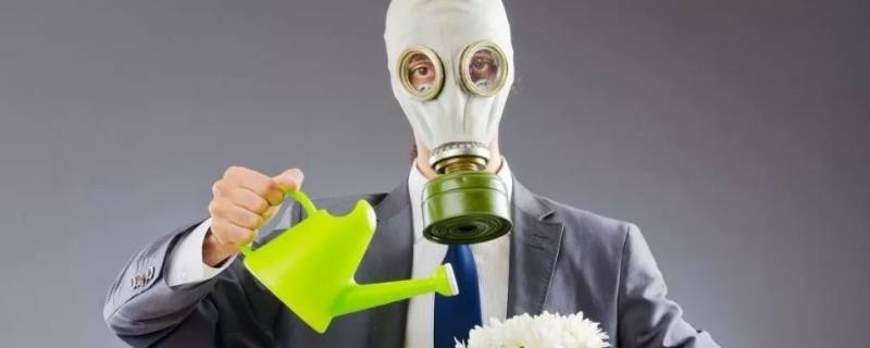 voc包括甲醛吗（voc是甲醛吗）