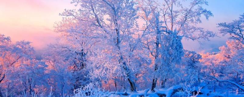 雪挂在树上叫什么 挂在树上的雪叫什么