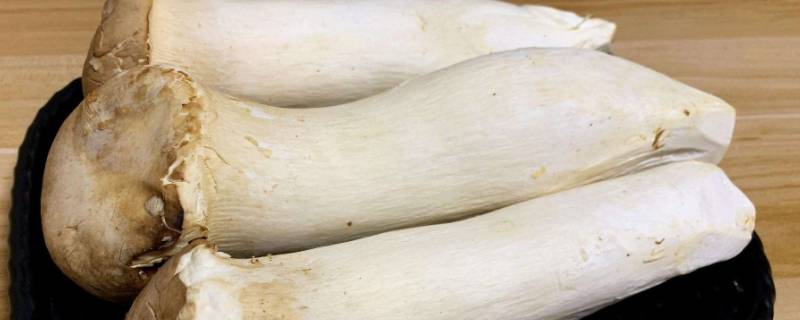 白色长条状蘑菇叫什么（长白条的蘑菇叫什么）