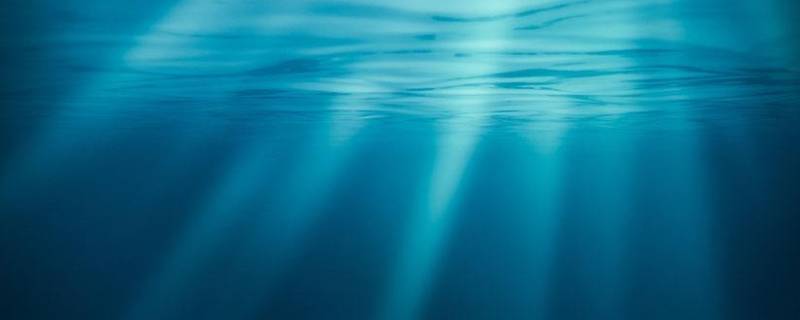 海洋香味是什么味道 海洋味是什么意思