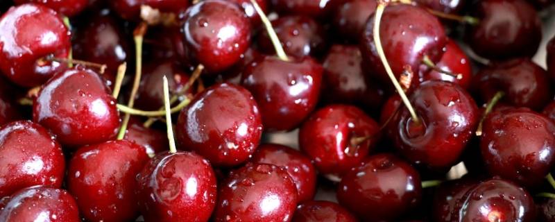 车厘子csg是什么意思 纯bing车厘子是什么意思