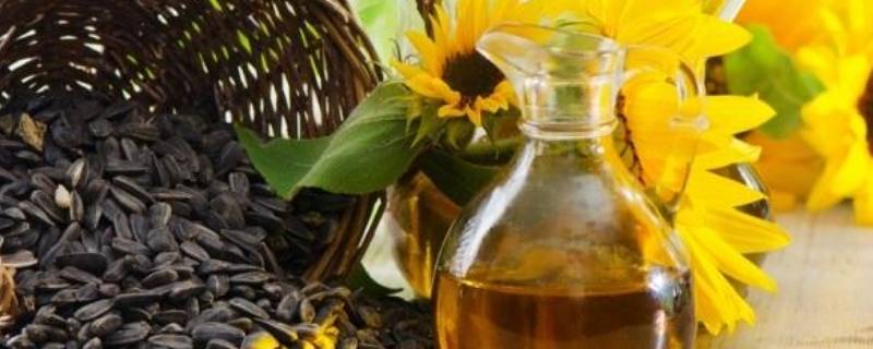 葵花籽油适合油炸吗 葵花籽油适合油炸吗?