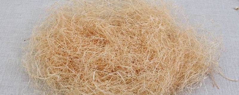 拉菲草有什么用（拉菲草有什么用处）