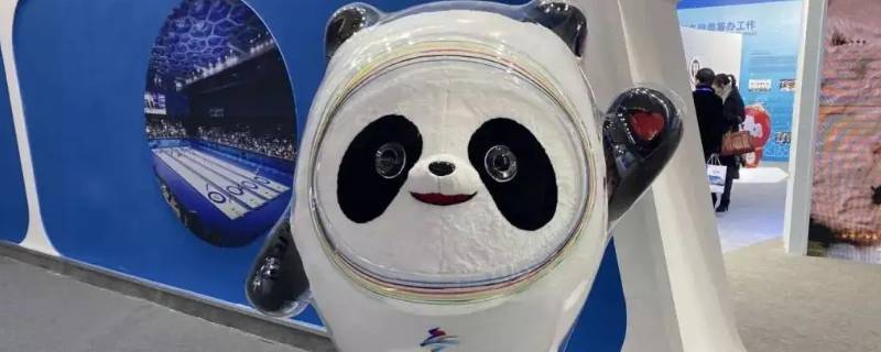 为什么叫冰墩墩（为什么叫冰墩墩和雪容融）