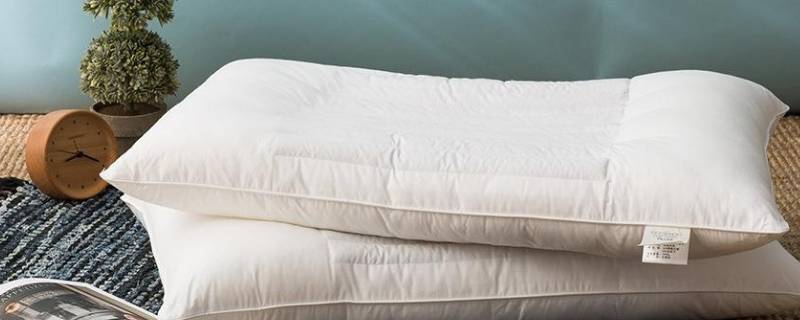 决明子枕头可以水洗吗 枕头里面的决明子能用水洗吗