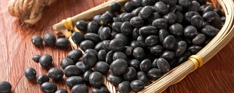 需要冬藏的食物有哪些 冬藏吃什么