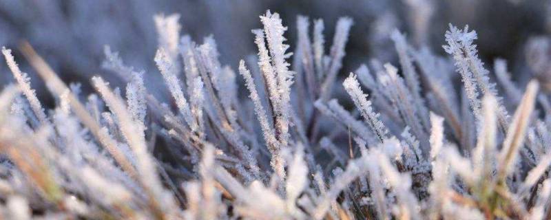 防寒防冻知识及注意事项（防寒防冻常识）