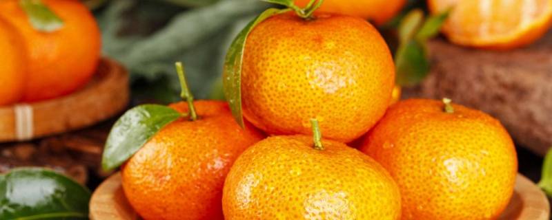什么是沙糖桔 什么是沙糖桔釆摘一刀过