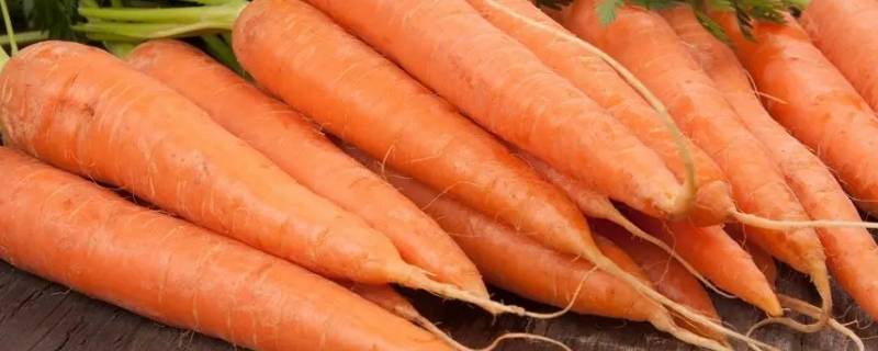 小人参指的是什么 小人参什么意思