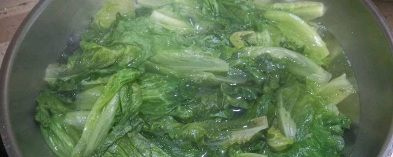 水煮菜放什么调料（减肥期间水煮菜放什么调料）