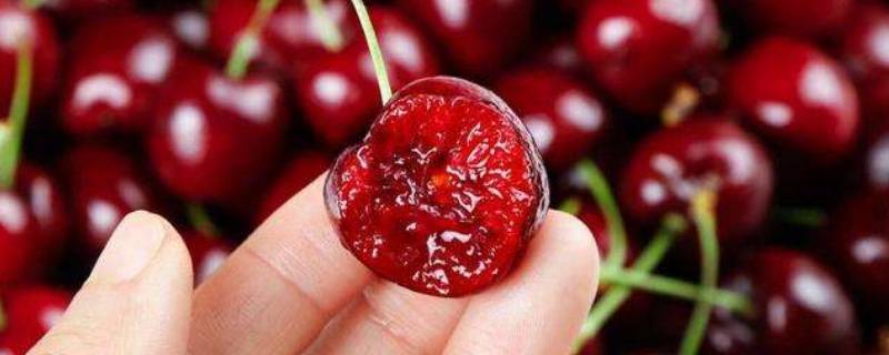 skeena车厘子是什么品种（skeena车厘子中文名字）