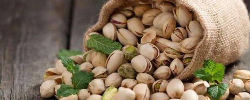 开心果原色和白色区别（原色开心果与漂白开心果的区别）