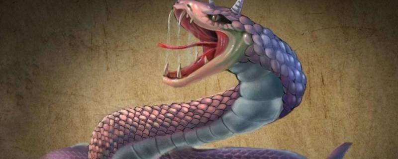 什么蛇可以吃大象 什么蛇可以吞大象