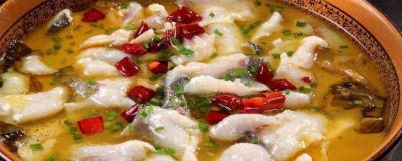 酸菜鱼一般用什么鱼 酸菜鱼一般用什么鱼做比较好