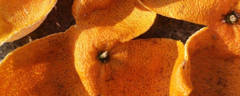 陈皮保质期多久（陈皮保质期限）