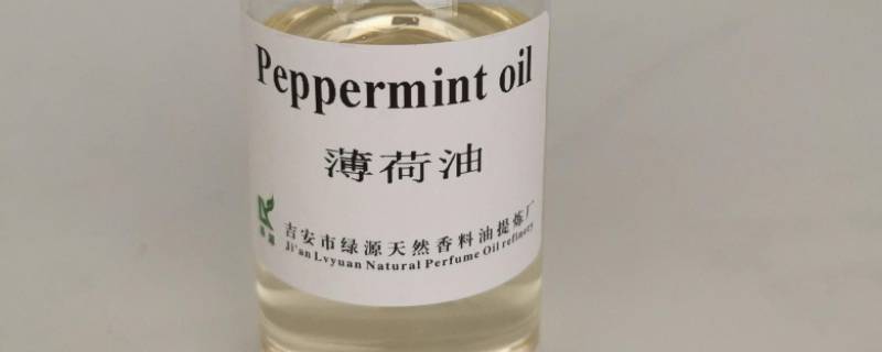 薄荷油可以驱赶老鼠吗 薄荷油能驱鼠吗