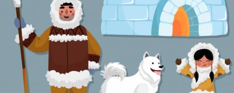 因纽特人上学吗（因纽特人怎么样）