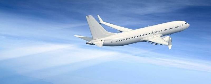 拎着水果能上飞机吗（水果能带着上飞机吗）