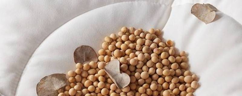 大豆纤维是什么（大豆纤维是什么材质）