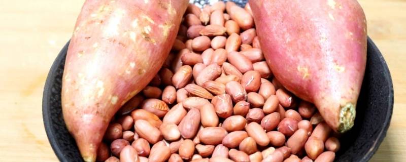 长在地底下的食物有哪些 长在地底下的食物有哪些绘本