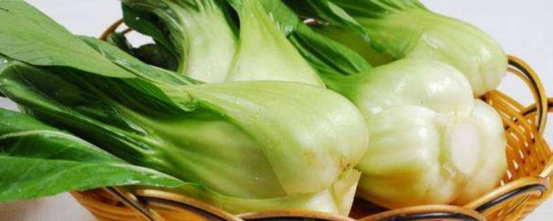 冬天的菜有哪些种类 冬季的季节菜有哪些