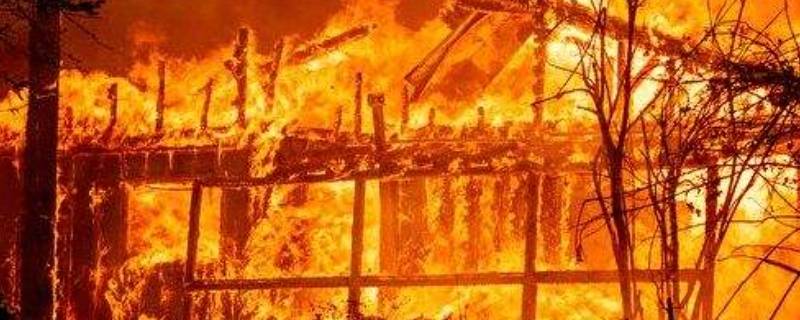 火灾使人致命的最主要原因是（火灾使人致命的最主要原因是烧伤）