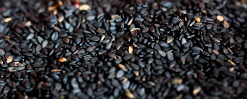 没有工具怎么磨芝麻（怎么磨碎芝麻）