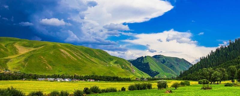 土地资源有哪些（土地资源有哪些类型）