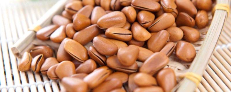 空气炸锅烤松子几分钟（空气炸锅如何烤松子）