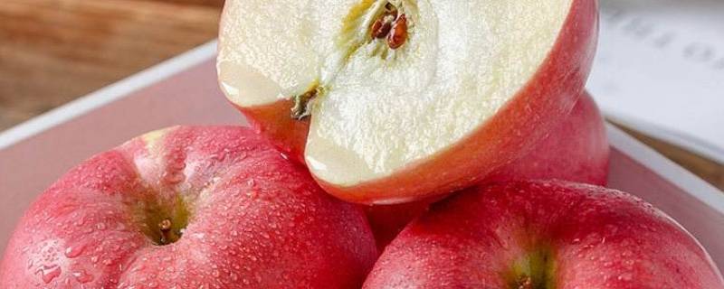 水果羹放哪些水果（水果羹里面放什么水果）