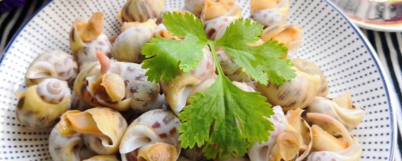 白灼花螺的做法煮多久 白灼花螺煮几分钟正好
