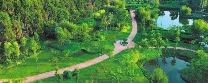 生态价值有哪些方面（生态意义有哪些方面）