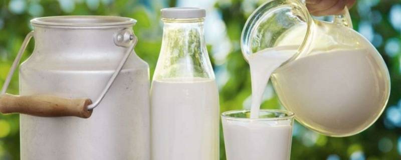 早餐饮品有哪些种类（早餐的品类都应该有什么）