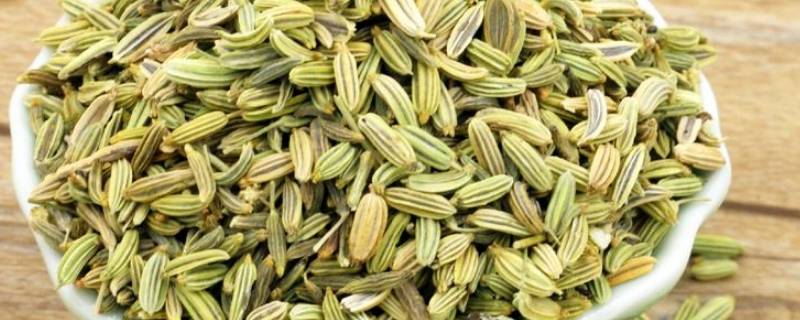 小茴香是什么 小茴香是什么味道