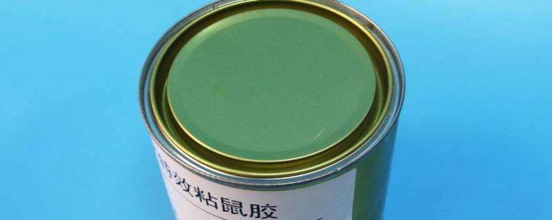 粘鼠胶用什么东西能洗掉（粘老鼠的那个胶要用什么东西洗下来）