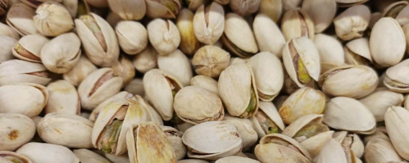 开心果和银杏果有啥区别（开心果和银杏果是一样吗）