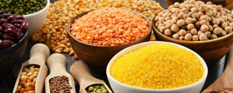 秋天的食物有哪些 秋天的食物有哪些图片简笔画